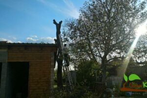 Kertépítés kertgondozás kertrendezés parképítés Balaton Veszprém fakivágás gépi földmunka földmunkagépezés